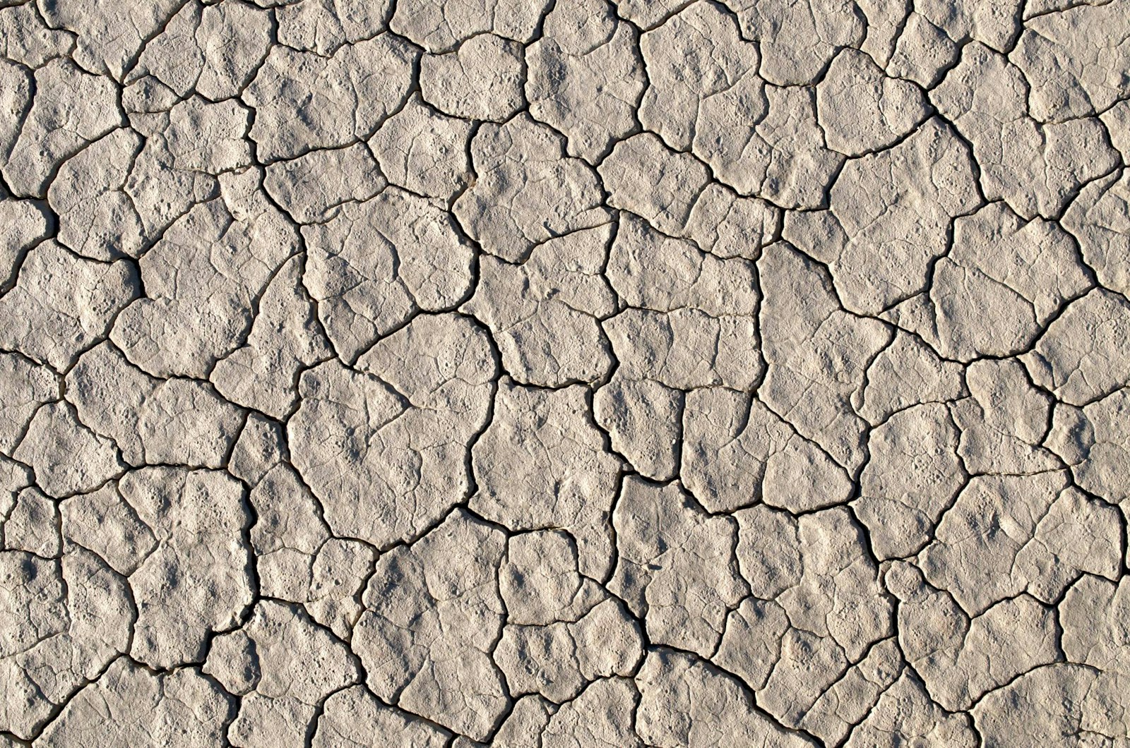 Dry, cracked clay soil — exactly what shrinks away from your foundation when North Texas summers go without rain.